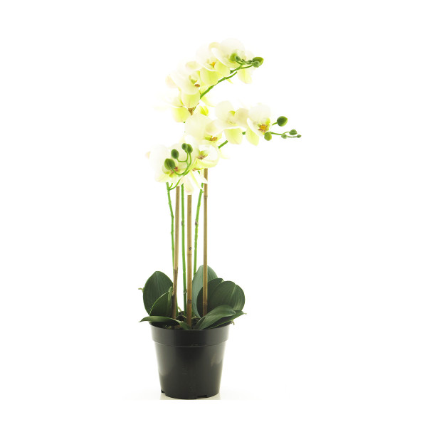 Kunstpflanze Orchidee im Topf, Schmetterlingsorchidee weiß, Phalaenopsis Bora, 60cm, getopft