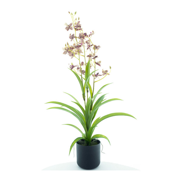 Kunstpflanze Orchidee im Topf, Dendrobium rot-grün, 70cm, getopft