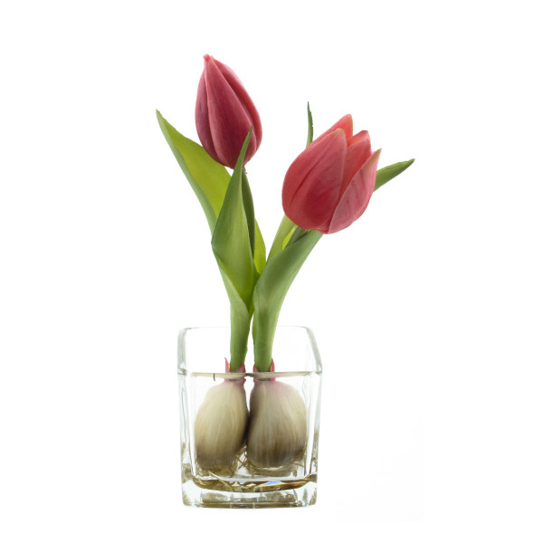 Kunstpflanze Tulpen Sally im Glas, 2 Tulpen beauty im Glastopf, 19cm