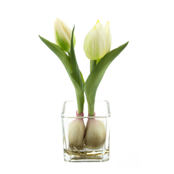 Kunstpflanze Tulpen Sally im Glas, 2 Tulpen creme im Glastopf, 19cm