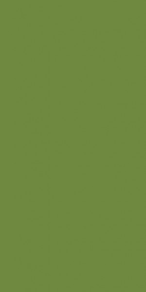Duni Servietten, 33x33, 3-Lagig, 1/8, 250 Stück/Pack leaf green